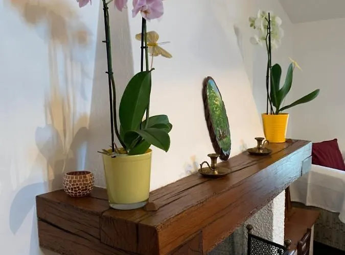 Apartamento Codivilla Sasso Marconi