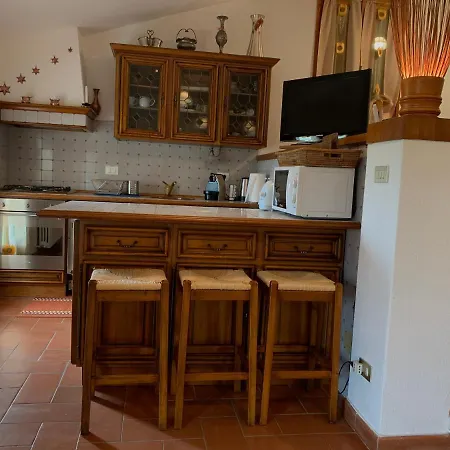 Codivilla * ساسو ماركوني