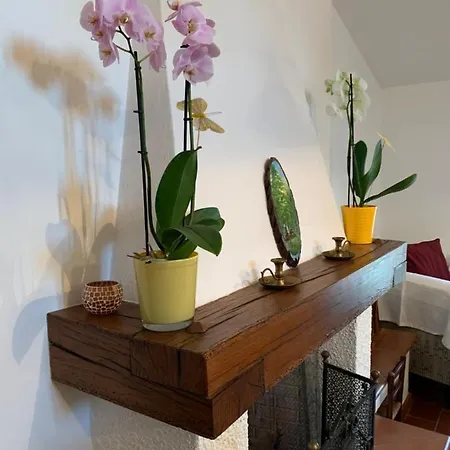 Apartment Codivilla Sasso Marconi